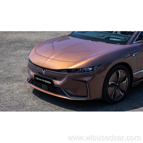 VOYAH new energy vehicle 2023 voyah passion